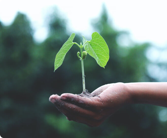 drustvo-metulj-o_nas-02