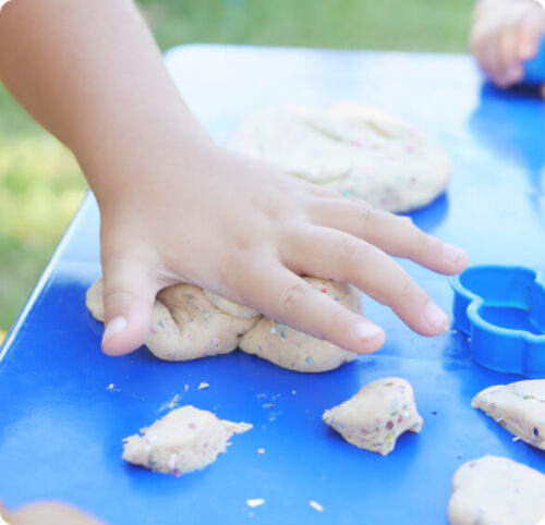 metulj-pocitnisko-varstvo
