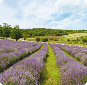 zaposlovanje-na-podezelju
